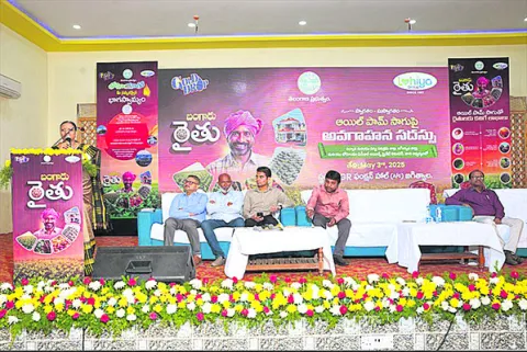 ఒక్కసారి నాటితే 30 ఏళ్లవరకు ఆదాయం 