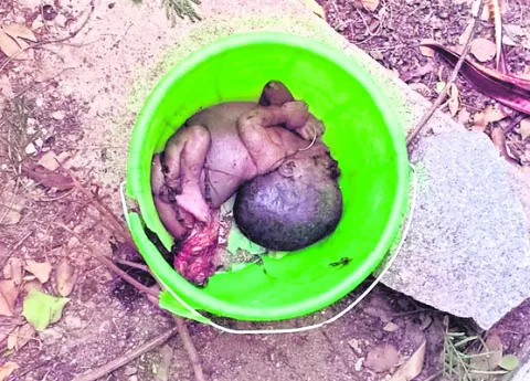 అమ్మా..  నేనేమి చేశాను నేరం? 
