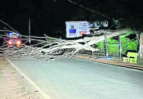 నందపూ