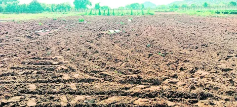 వైఎస్సార్‌సీపీ రాష్ట్ర అనుబంధ విభాగ కమిటీలో చోటు  
