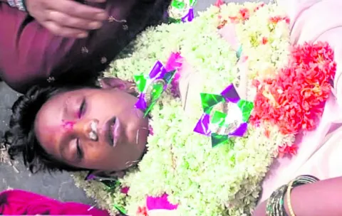 గడ్డి