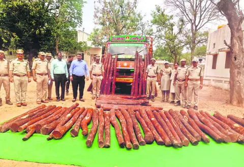 ఎర్రచందనం అక్రమ  రవాణాపై  ప్రత్యేక నిఘా 
