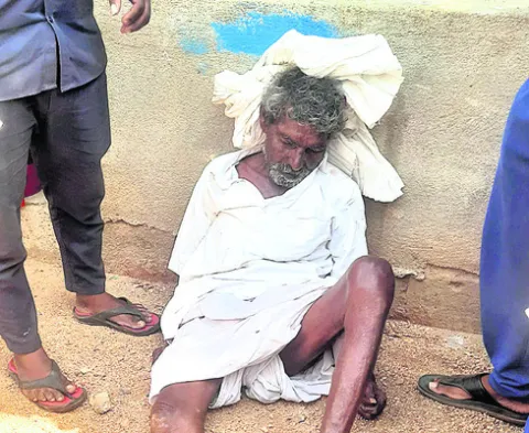 ప్రాణం తీసిన మామిడికాయలు