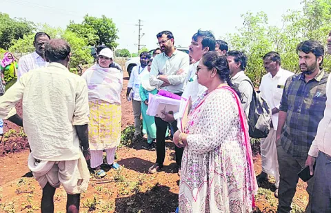 ఉద్యాన పంటలకు ఊతం