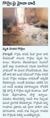 ఈస్ట్