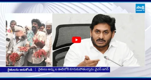 YS Jagan Serious On Chandrababu Govt Negligence On Farmer Problems 2