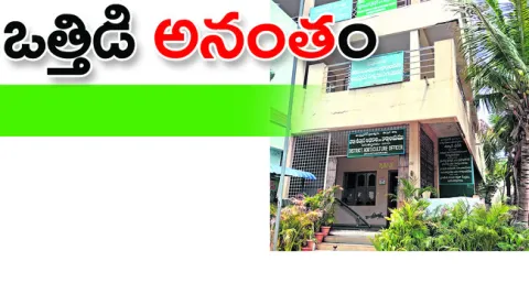 ● అనా