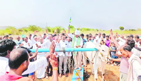 సత్తాచాటిన నంద్యాల జిల్లా ఎడ్లు 