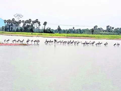 విదేశీ అతిథులకు స్వాగతం