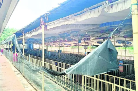 శ్రీవారి క్షేత్రంపై గాలివాన ఎఫెక్ట్‌ 