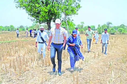 పాసుపుస్తకాలు, సర్వే నంబర్ల మిస్సింగ్‌..
