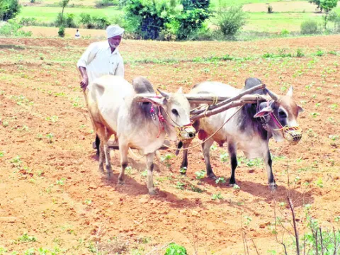 రైతుల