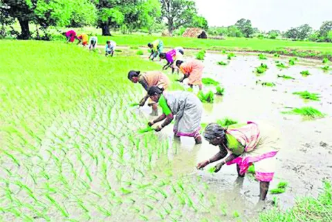 విధి విధానాలు ఇలా.. 