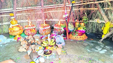 మత్స్