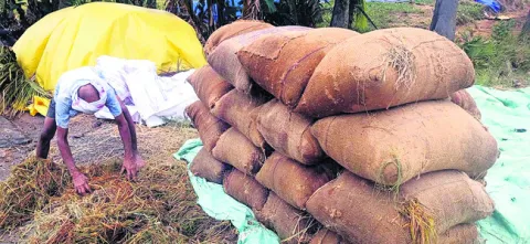 అకాల 