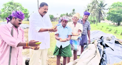 ధాన్యం దళారుల పాలయ్యేలా ఉంది 