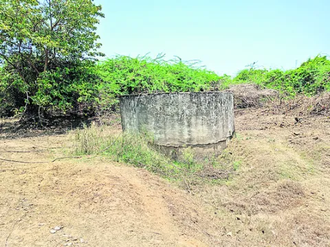 గోస్త