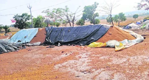 అకాల 