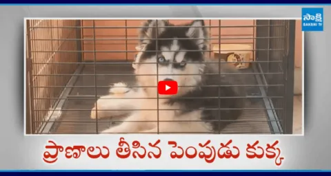 Sad Incident In Madhura Nagar Hyderabad 1