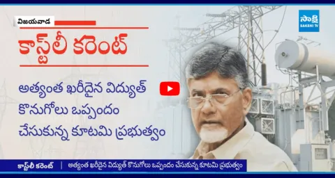 Chandrababu Agreement With Axis Energy India Limited With 4 Rupees 60 Paisa 1