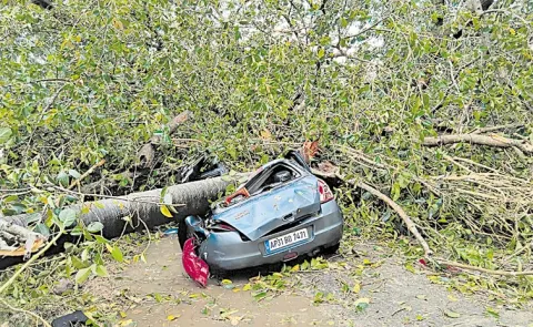 Six struck dead by lightning: Andhra pradesh