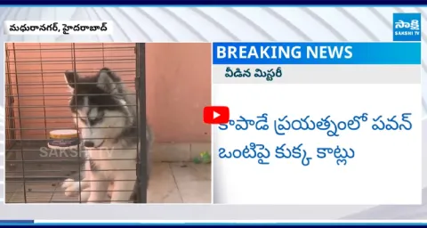 Mystery of Maduranagar Pawan Incident 1
