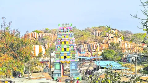 రెగ్య