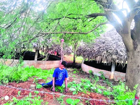 శంకరంలో వ్యక్తి ఆత్మహత్య 