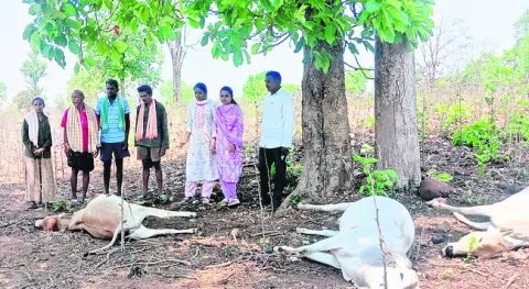 ఓసీ–4లో కార్మికుడికి గాయాలు