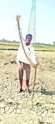 ఫేక్‌ కాల్‌ చేసిన ఒకరి రిమాండ్‌ 