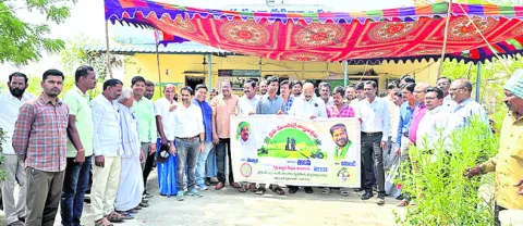 నాణ్యమైన విత్తనాలు   ఎంపిక చేసుకోవాలి
