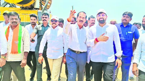 పంట న
