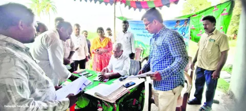 నేడు 