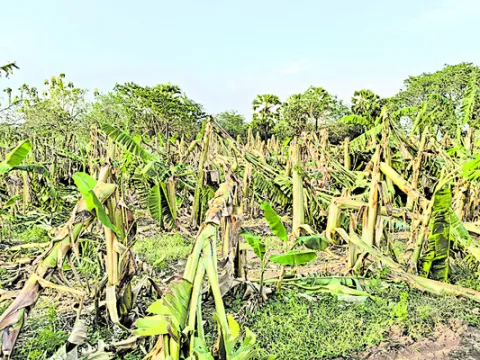ఈదురు