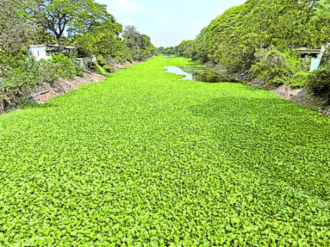 చివరికి కడగండ్లే! 