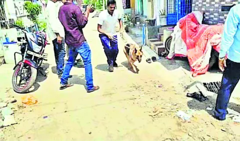అనుమా