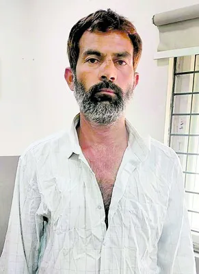 తనకు 