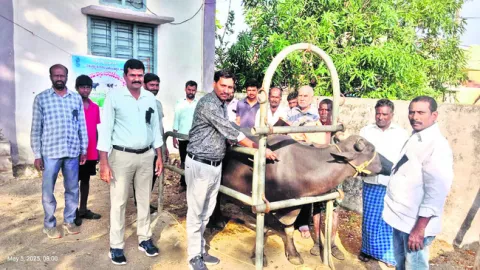 ప్రజా