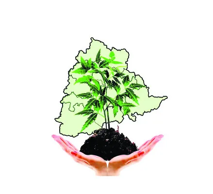 ప్రజాసమస్యలు పరిష్కరించాలి
