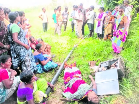విద్య