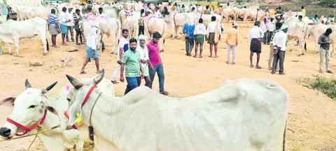 ‘లక్ష