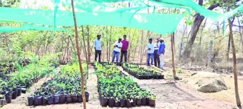 లక్ష్