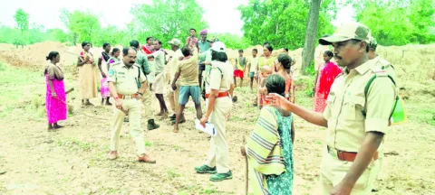 ఫారెస