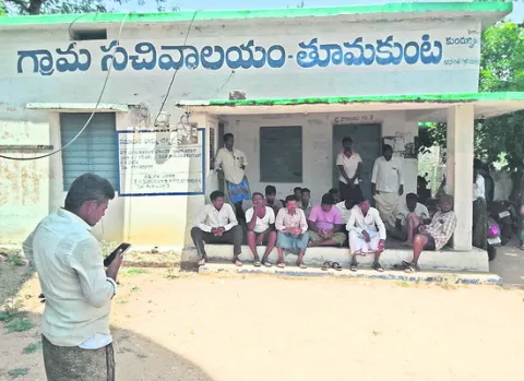 తారస్