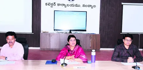 ● జిల్లా కలెక్టర్‌ రాజకుమారి 
