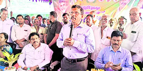 నల్లబర్లీ పొగాకు కొనుగోలు చేయాలని వినతి 
