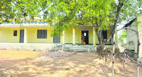 పశువైద్యం.. దైవాదీనం!