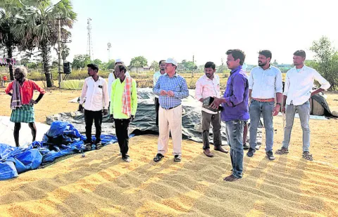 ధాన్యం కొనుగోళ్లు           వేగవంతం చేయాలి
