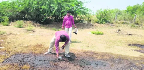 తాటిచెట్టు పైనుంచి పడి గాయాలు
