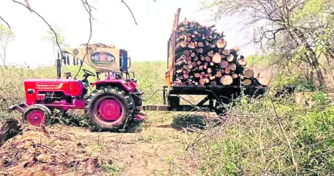 పొలంలో పనిచేస్తూ..
